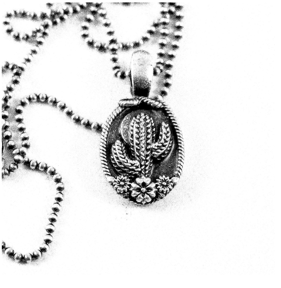 Saguaro Cactus & Full Moon Pendant